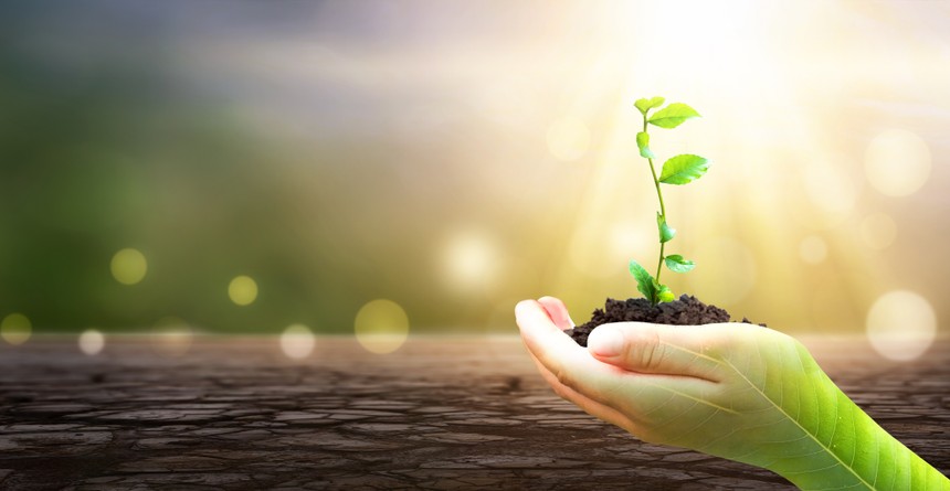 Góc nhìn giao dịch chứng khoán tuần mới: Cổ phiếu ngân hàng tiếp tục tạo sóng sau Thông tư 03?