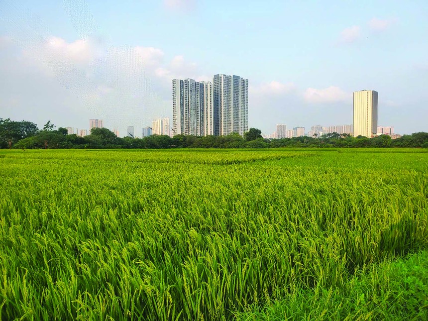 Đất đai là nguồn tài nguyên vô cùng quý giá của mỗi quốc gia, mỗi dân tộc. Ảnh: Dũng Minh.