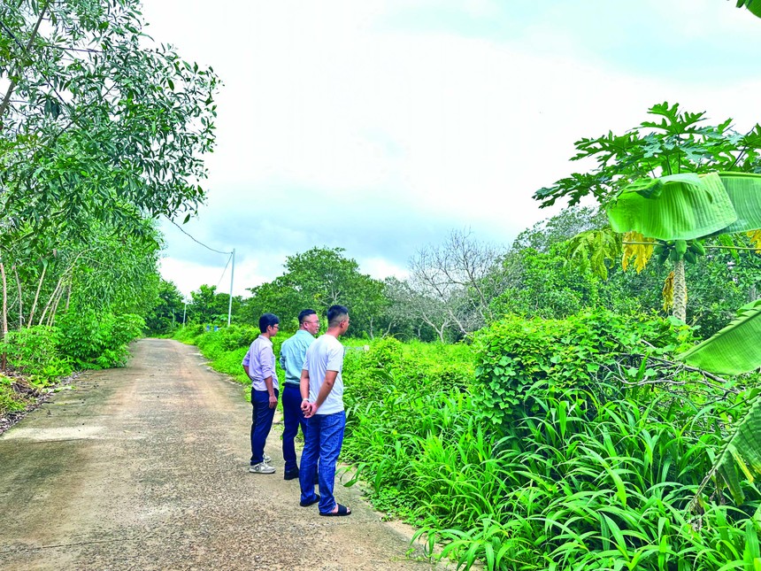 Nhà đầu tư đi săn đất nền. Ảnh: Vũ Dũng.