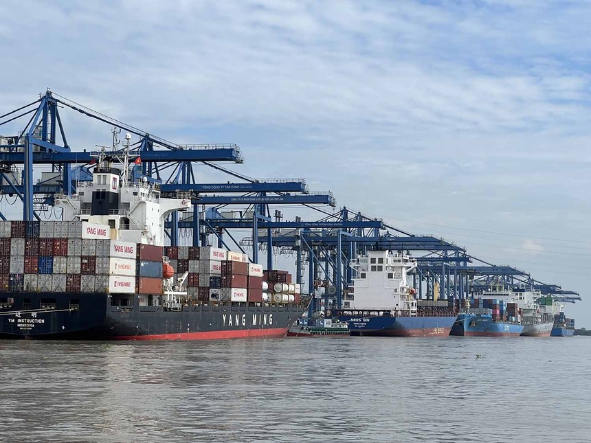 Doanh nghiệp có thể nộp hồ sơ tự công bố tại Sở An toàn thực phẩm TP.HCM và được giải quyết thật nhanh để thông quan. Ảnh: Trọng Tín.