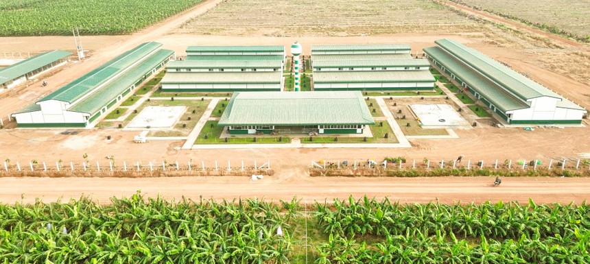 Nông nghiệp Trường Hải đã thoát lỗ