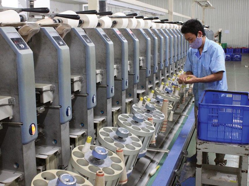 Vi phạm công bố thông tin, Damsan (ADS) bị phạt 70 triệu đồng