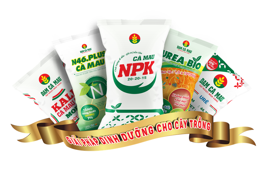 PVCFC (DCM) chốt quyền chia cổ tức năm 2020 bằng tiền mặt, tỷ lệ 8%