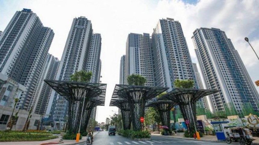 TNS Holdings (TN1) chốt quyền chia cổ tức 30%