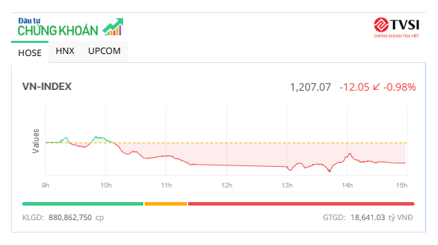 VN-Index về sát mốc 1.200 điểm, nhiều mã vừa và nhỏ vẫn dậy sóng