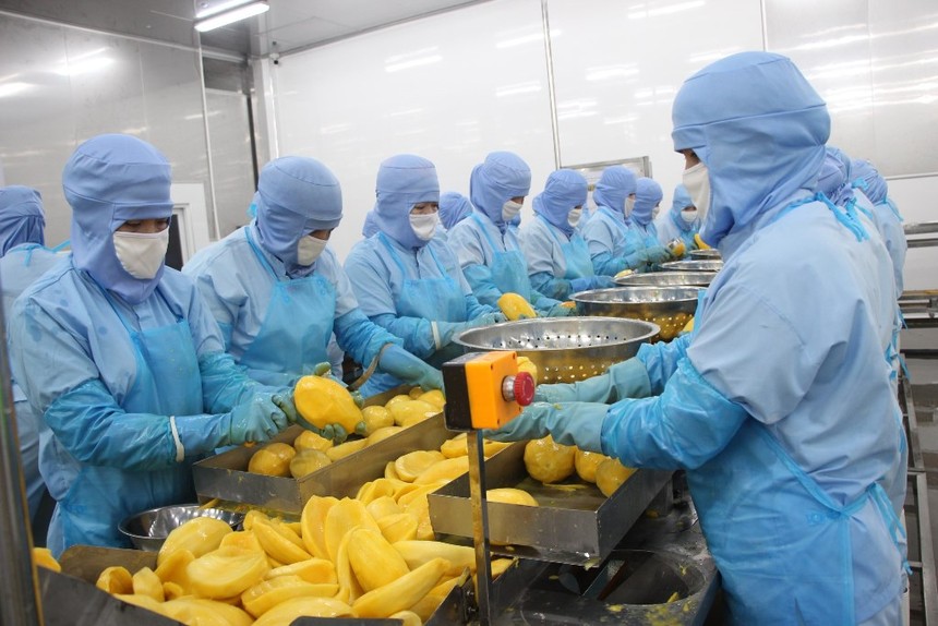 Thực phẩm An Giang (ANT) chào sàn HOSE với giá 40.900 đồng/CP 