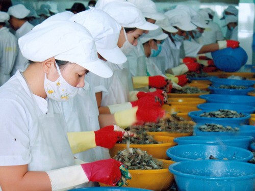 Công ty cổ phần thủy sản Bạc Liêu đã có lãi trở lại sau 5 quý liên tiếp thua lỗ.