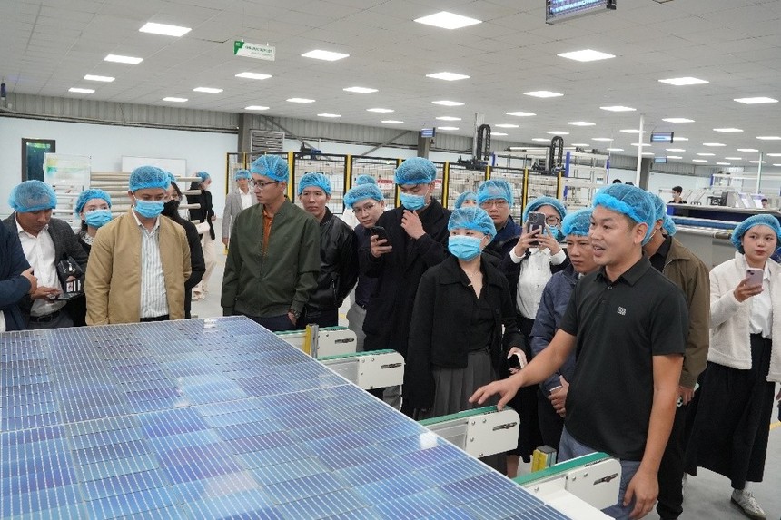 Ban lãnh đạo Damsan giới thiệu và cập nhật tình hình kinh doanh 9 tháng đầu năm 2025