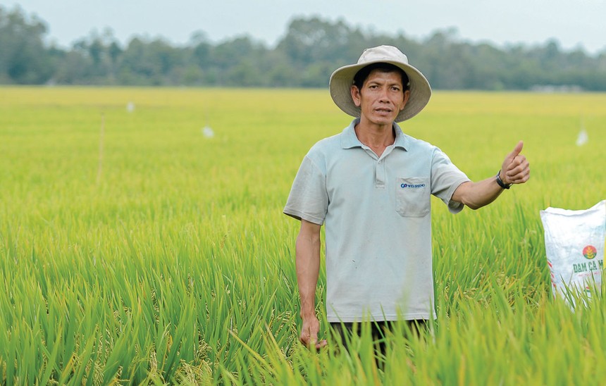 Nguồn cung và giá khí nào để giúp Đạm Cà Mau tiếp tục đóng góp cho nông nghiệp Việt?