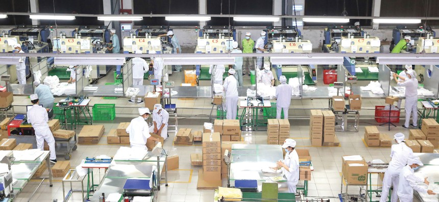 Thích ứng để bơi ra đại dương xanh 