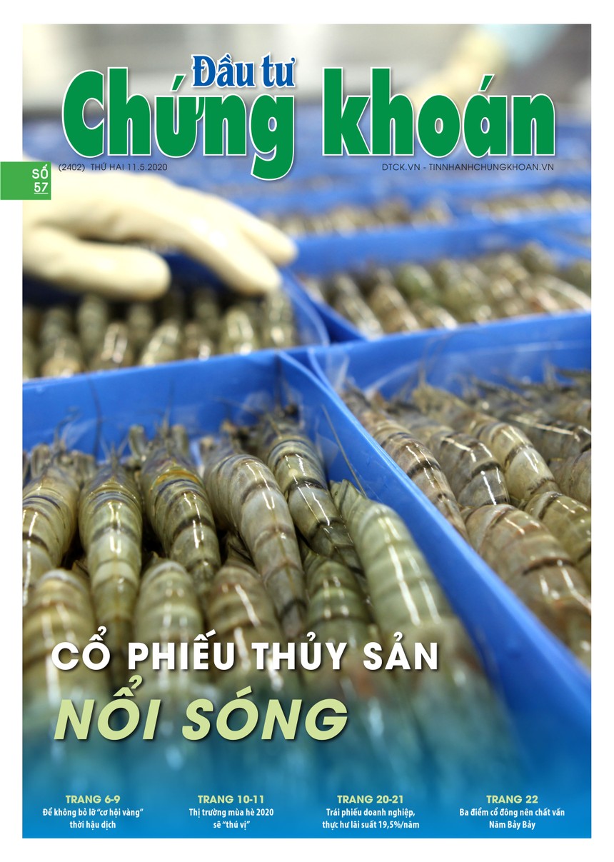 Đầu tư Chứng khoán số 57/2020
