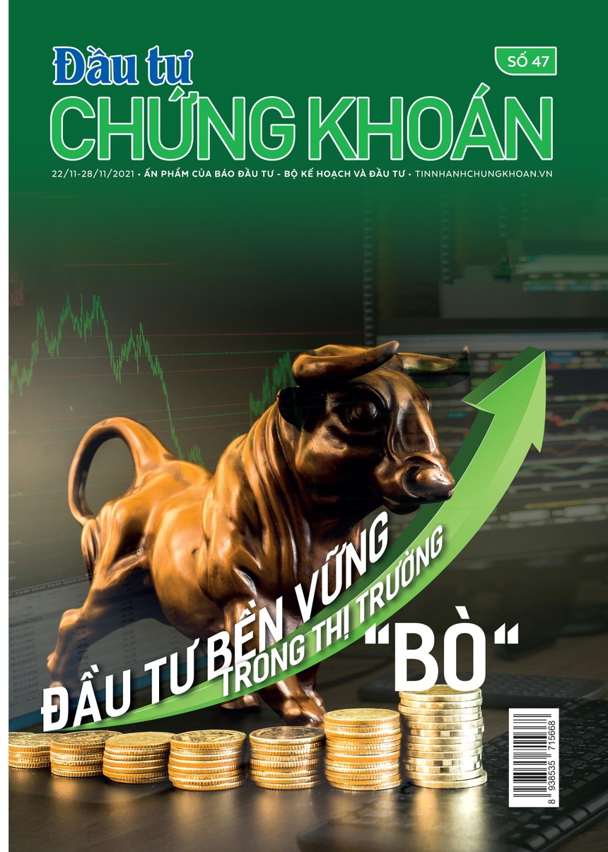 Đầu tư Chứng khoán số 47/2021