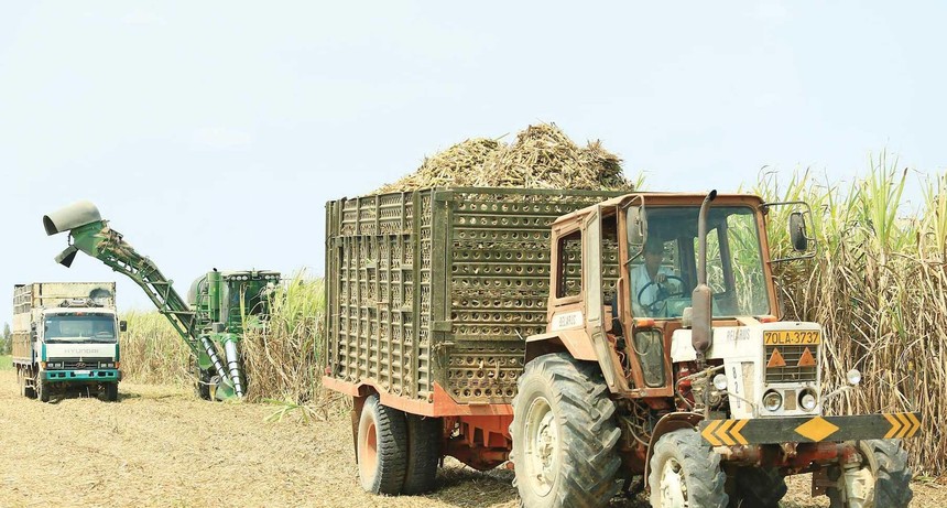 Giá bán tăng, biên lợi nhuận được cải thiện, cổ phiếu mía đường được kỳ vọng sẽ tiếp tục mang lại vị ngọt cho nhà đầu tư.