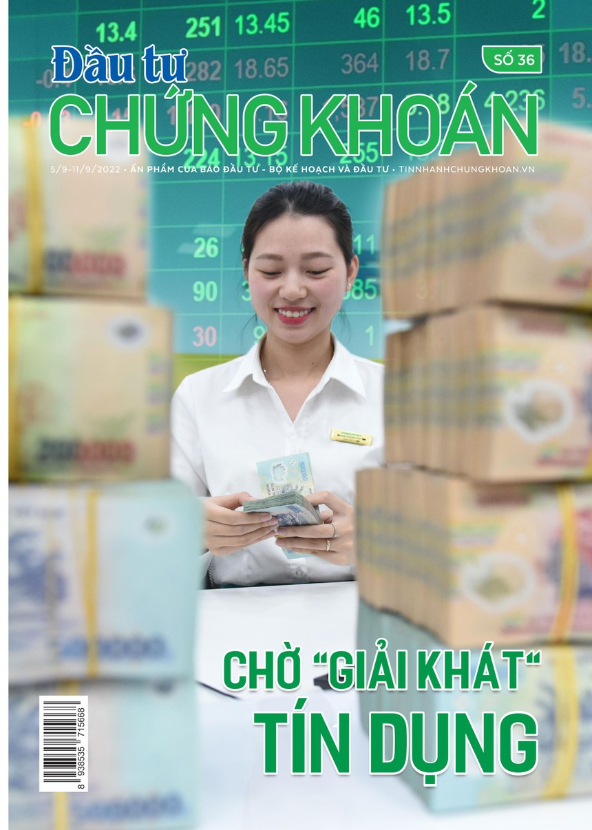 Đầu tư Chứng khoán số 36/2022