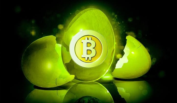Vượt mốc 78.000 USD, Bitcoin hướng đến tuần tăng giá mạnh nhất trong vòng 3 năm