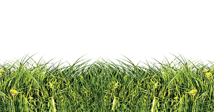 “Xanh” phải từ nhận thức đến hành động