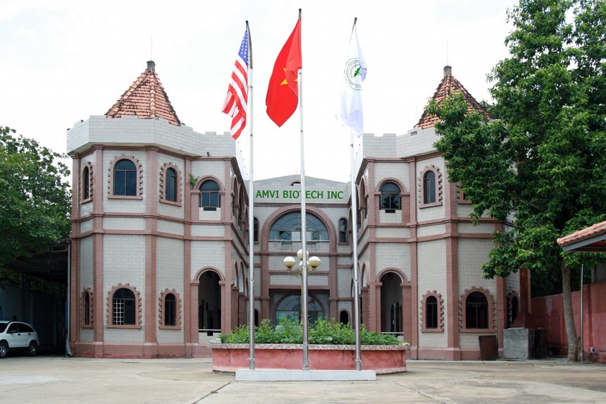 AMV: Quý  I, doanh thu tăng 72% so với cùng kỳ