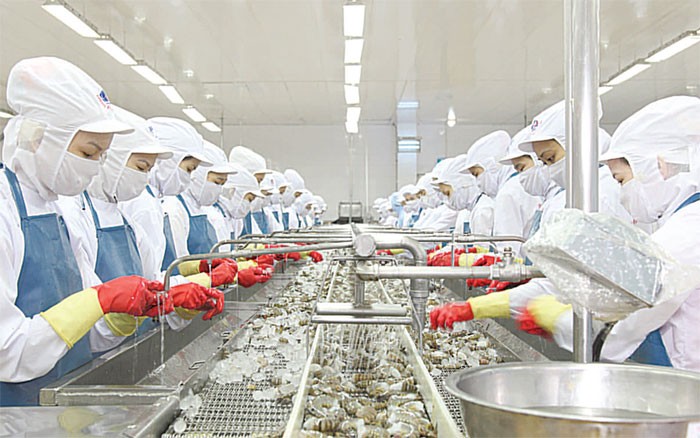 Thông tin trả cổ tức được đưa ra từ hồi tháng 7 khiến giá cổ phiếu MPC tăng ngoạn
mục từ mức dưới 40.000 đồng/CP lên 80.000 đồng/CP hiện nay.
