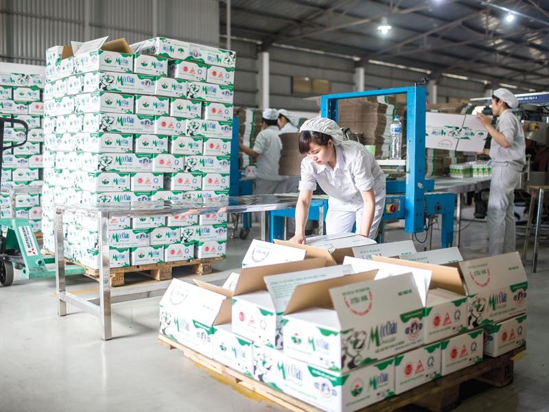 Sự kiện Vinamilk chào mua công khai cổ phiếu của GTNFoods - đơn vị sở hữu thương hiệu sữa Mộc Châu - đang được rất nhiều nhà đầu tư quan tâm.