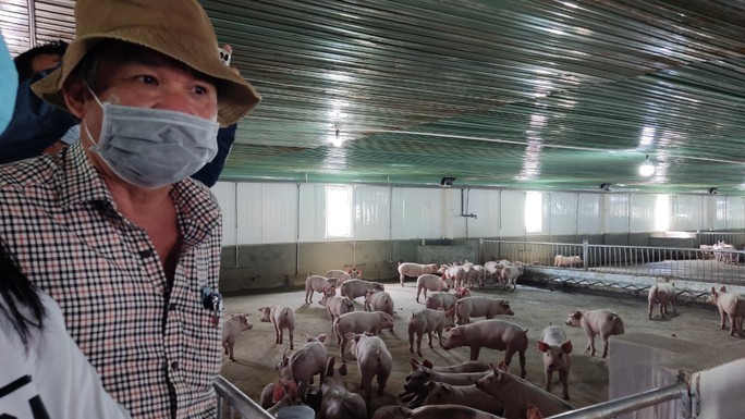 Hoàng Anh Gia Lai (HAG) muốn chuyển đổi nợ của Chăn nuôi Gia Lai thành vốn góp