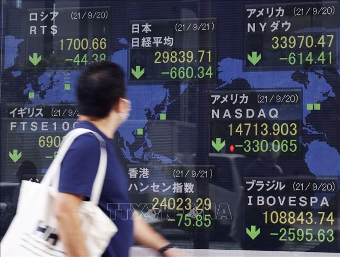 Các nhà đầu tư trẻ Nhật Bản đi ngược thế hệ trước, đang đổ tiền vào thị trường chứng khoán