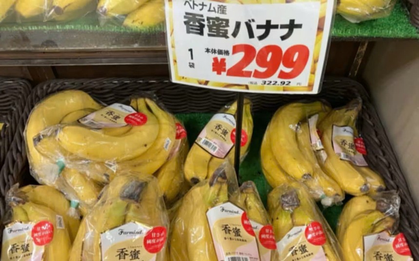 Chuối Việt Nam tăng tốc giành thị phần tại Nhật Bản