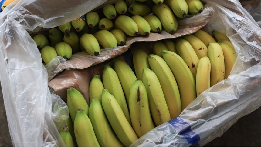 Tổng thống Trump giảm thuế loạt nông sản trong nỗ lực kiềm chế giá cả