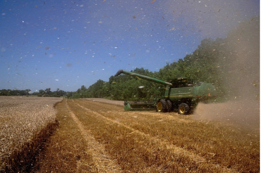 Xuất khẩu của Mỹ sang các thị trường mới nổi tăng mạnh trong năm 2025