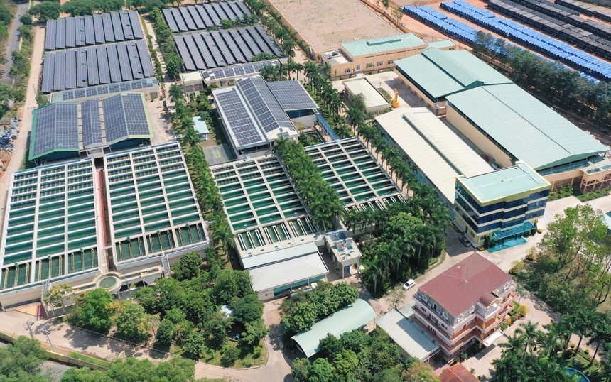 BIWASE (BWE) nâng cấp 8 chi nhánh lên 4 công ty con