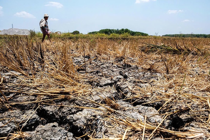 Hiện tượng El Nino có thể mạnh lên vào những tháng tới