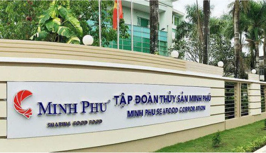 6 tháng, Thuỷ sản Minh Phú (MPC) lãi 415,4 tỷ đồng và dòng tiền âm thêm 390,7 tỷ đồng
