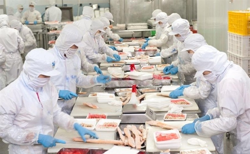 Lãnh đạo Nam Việt (ANV) đã mua vào 1 triệu cổ phiếu 