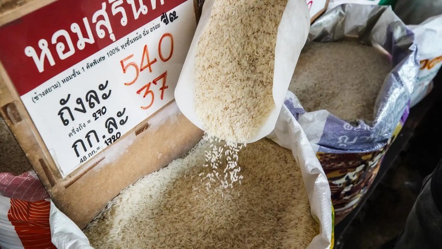 Lo ngại nguồn cung đẩy giá ngô và lúa mì lên cao nhất hơn 3 năm