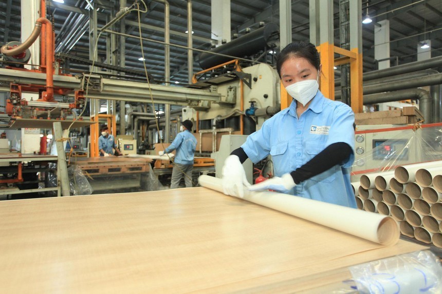 Gỗ An Cường (ACG) sắp trả cổ tức thêm 10%