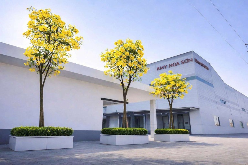 Lãi ròng của Amy Grupo đi lùi trong nửa đầu năm 2026 trước thềm IPO