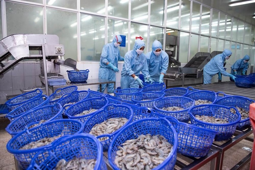 Thực phẩm Sao Ta (FMC): Doanh số tháng 9 giảm 15% về 23,28 triệu USD