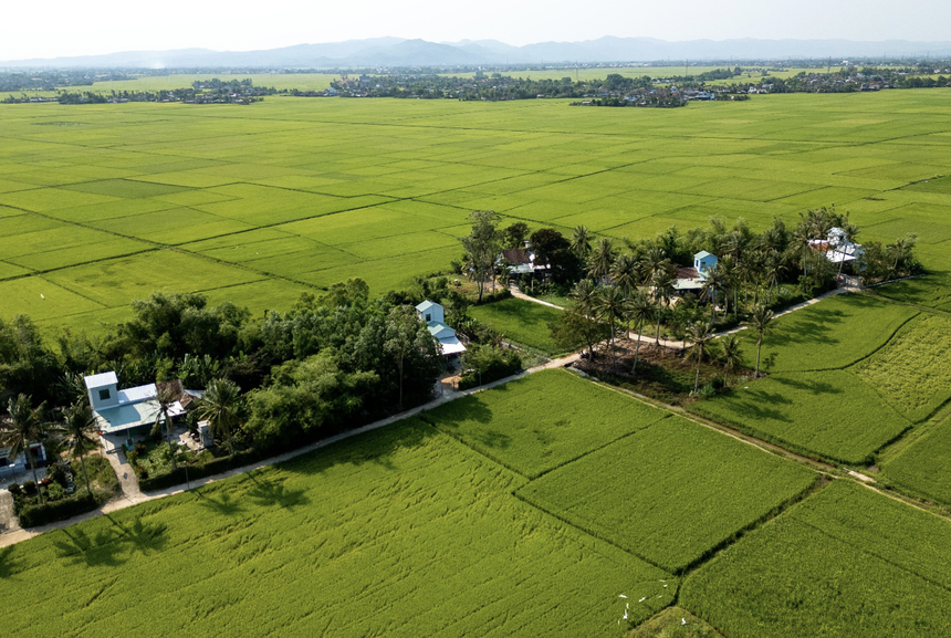 Những ngôi nhà an toàn được ADB và Chính phủ tài trợ được xây dựng lại trong chiến dịch Quang Trung tại khu phố Đông Thạnh, phường Đông Hòa tỉnh Đắk Lắk. Ảnh: Trần Việt Tuấn/ADB
