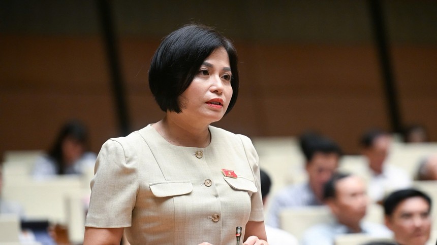 Đại biểu Thái Quỳnh Mai Dung (đoàn Vĩnh Phúc)