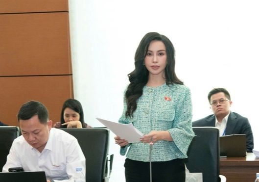 Đại biểu Lê Nữ Thùy Dương (đoàn Đồng Nai) đề nghị luật hoá quy định chứng khoán hoá khoản nợ