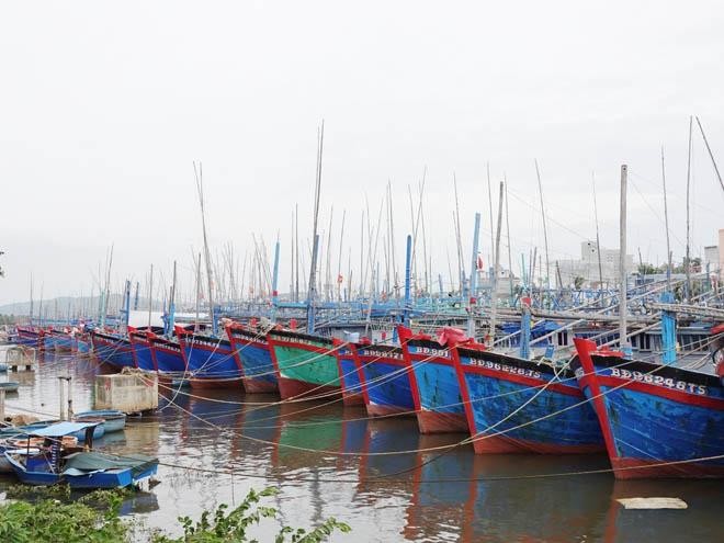 Khu vực đầm Đề Gi và Tam Quan là khu neo đậu tránh trú bão cho tàu cá cấp vùng kết hợp cảng cá Đề Gi và Tam Quan.