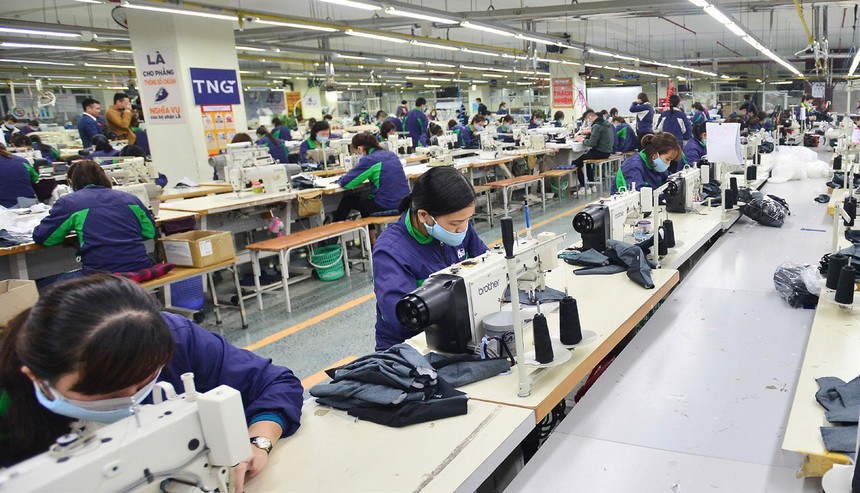 TNG: Lợi nhuận sau thuế cả năm đạt gần 233 tỷ đồng