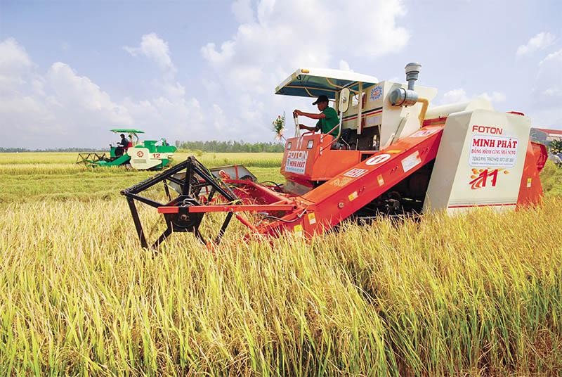 Làm nên kỳ tích xuất siêu và lập đỉnh xuất khẩu trong năm 2021, nông nghiệp tiếp tục là điểm tựa vững chắc của nền kinh tế năm 2022