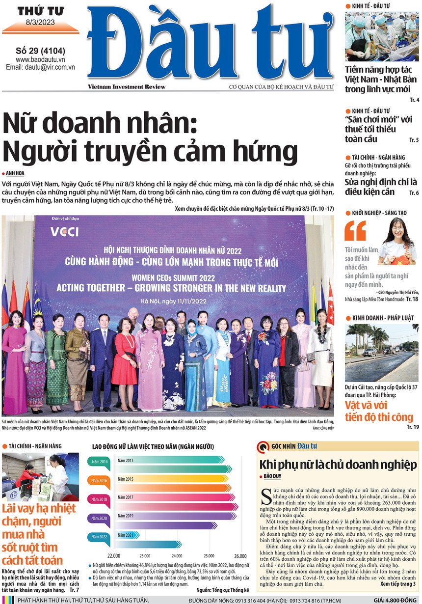 Báo Đầu tư số 29