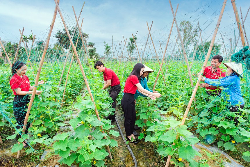 Agribank ưu tiên cho vay các dự án nông nghiệp công nghệ cao