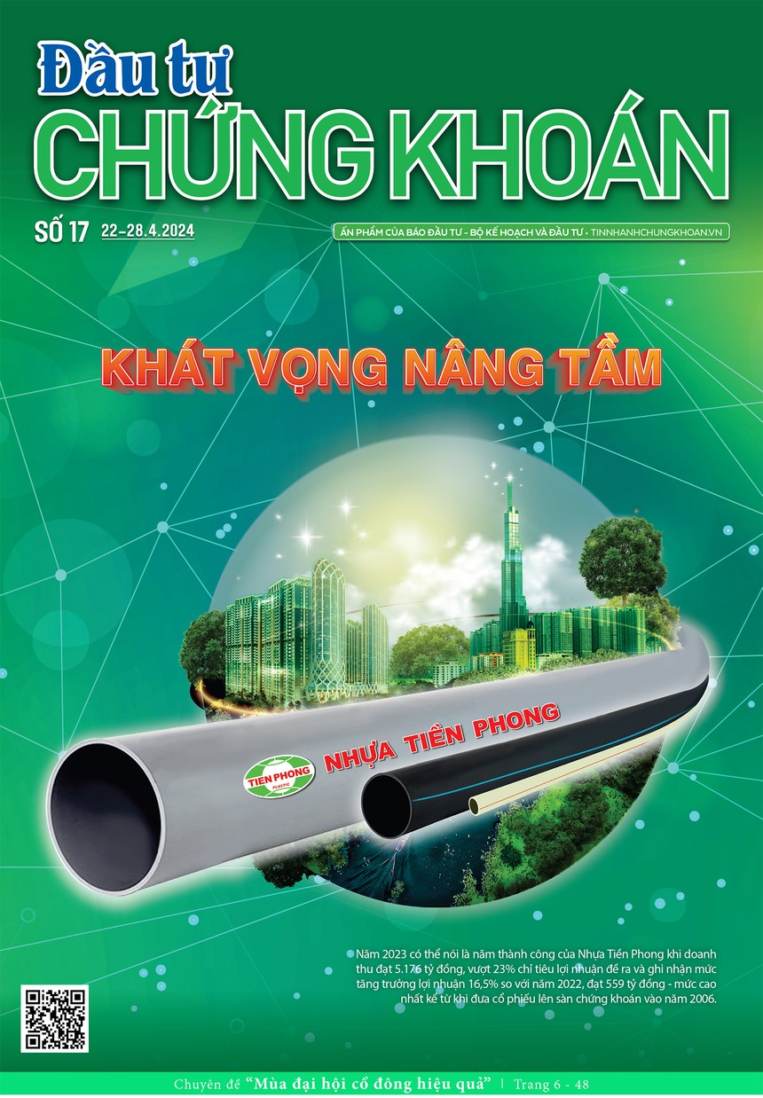 Báo Đầu tư Chứng khoán số 17