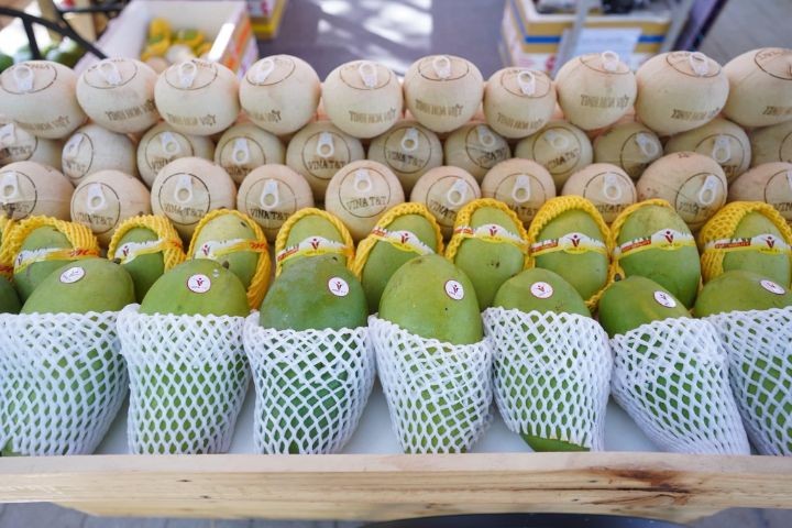 Công ty Vina T&T đang gặp khó khi giá dừa tươi liên tục tăng cao và "cháy hàng".