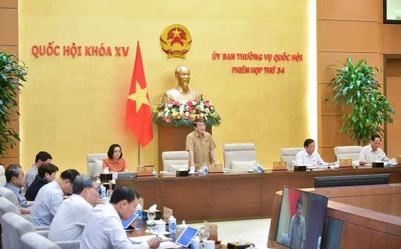 Phó chủ tịch Quốc hội Nguyễn Đức Hải điều hành phiên thảo luận.