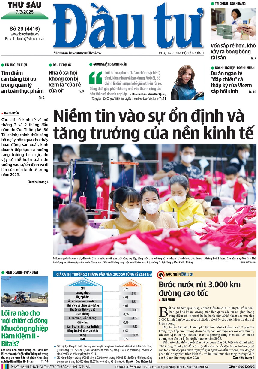 Báo Đầu tư số 29