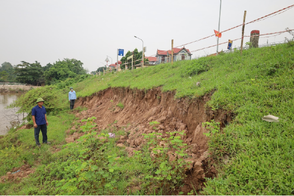 Yêu cầu Hà Nội xử lý nghiêm vi phạm đê điều theo kết luận của Thanh tra Chính phủ 