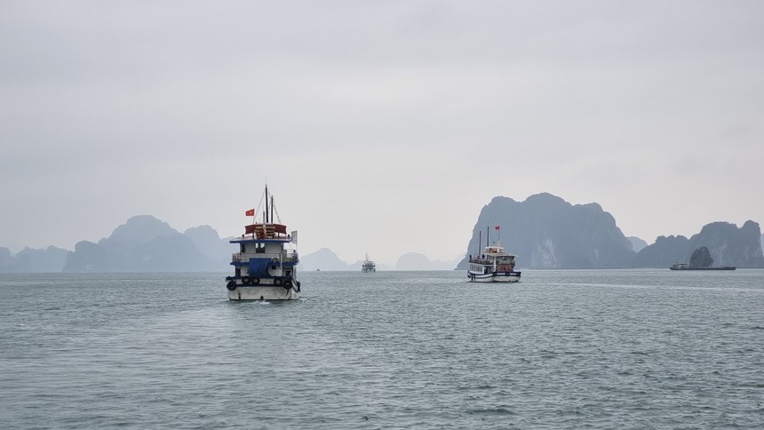 Quảng Ninh bàn giải pháp nâng tầm du lịch tại vịnh Bái Tử Long 